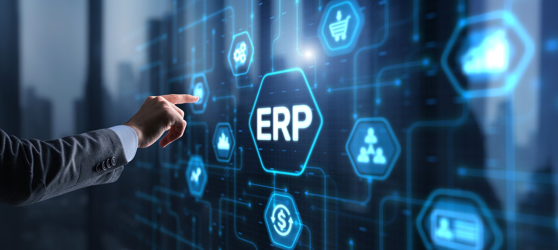 ERP Enterprise resource planning